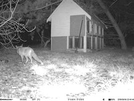 FOTOTRAPPOLA  MINI IR PLUS CLOUD GPS 20 Mpx